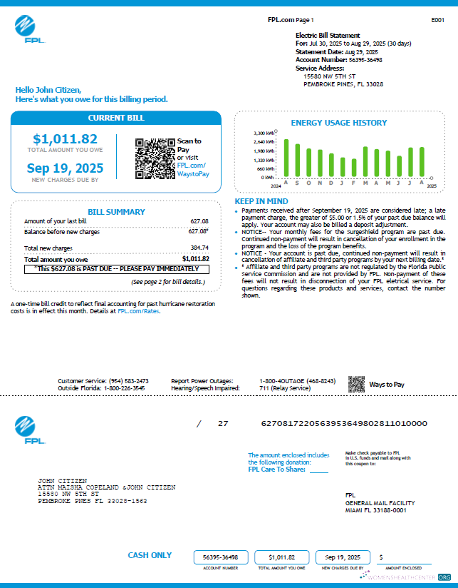 download download USA FPL utility bill template in Word and PDF formats, version 4 PDF template PDF template